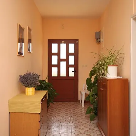 Apartment By The Sea Maslenica, Novigrad - 6568